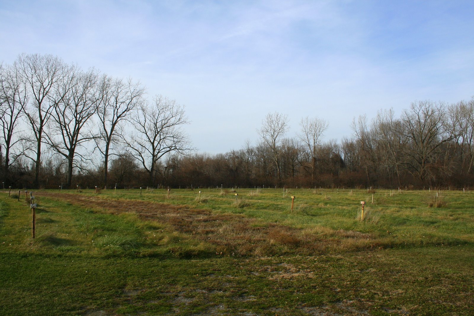 Sandusky DriveIn, Sandusky OH